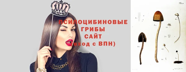 тгк Алексин