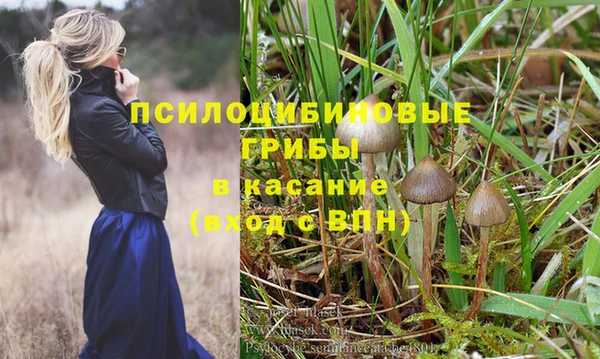 стаф Армянск
