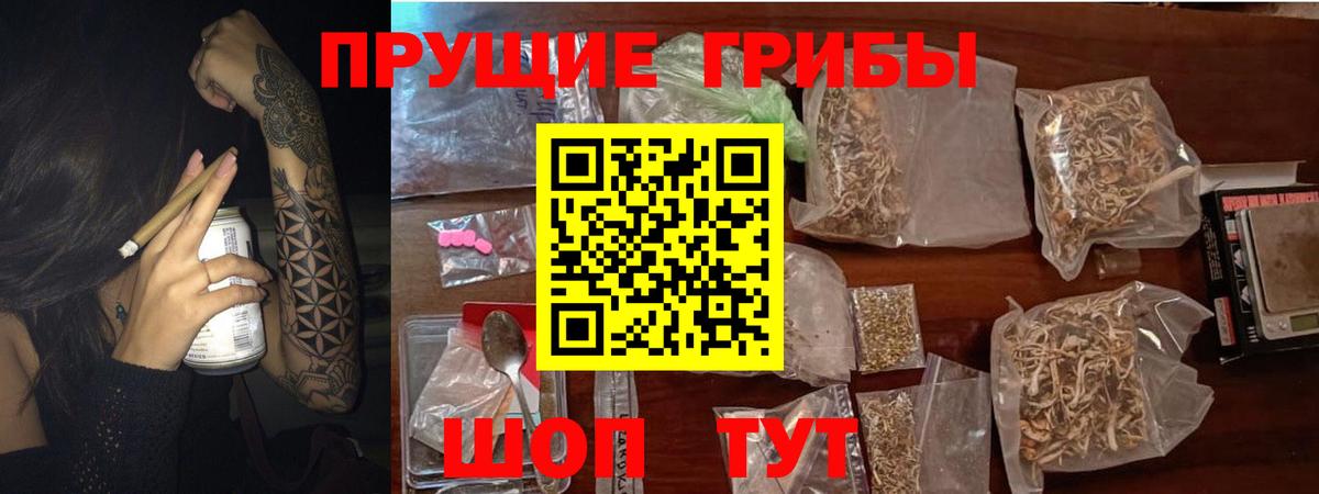 Галлюциногенные грибы Psilocybine cubensis Усть-Лабинск