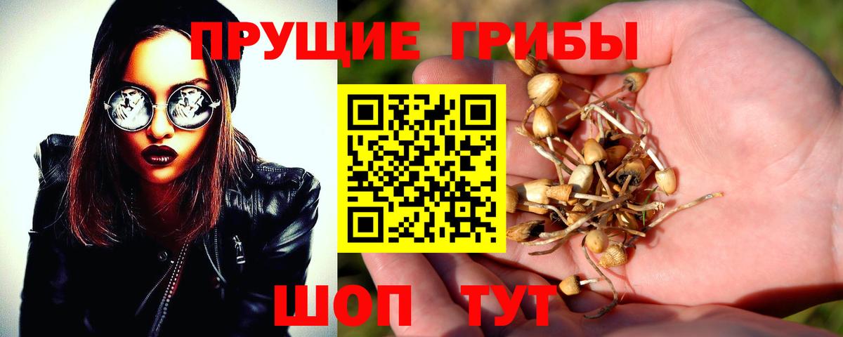 Усть-Лабинск  Псилоцибиновые грибы GOLDEN TEACHER  Вход с VPN 